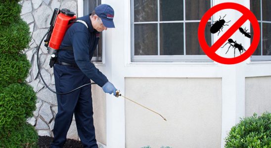 Nallıhan Fare İlaçlama böcek ilaçlama ve haşere kontrolü — ilaclama-tr.com